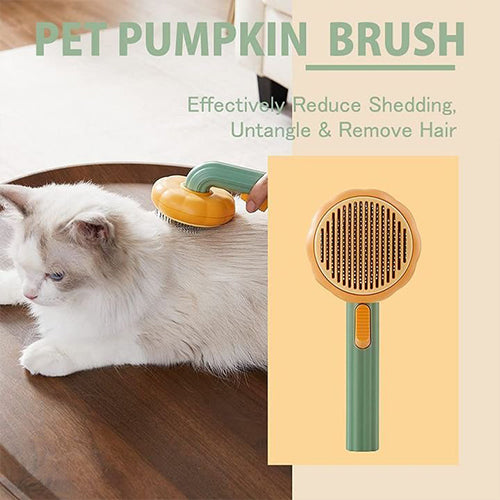 Pumpkin pet brush