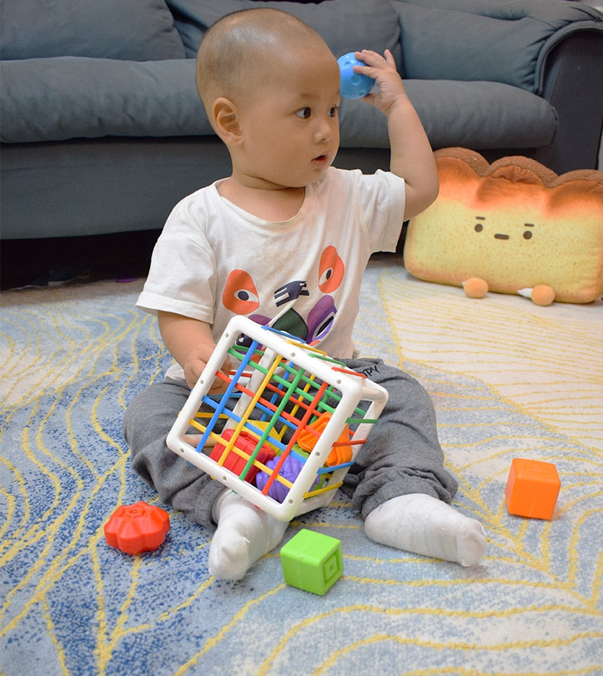 Shape Sorting Education Toy